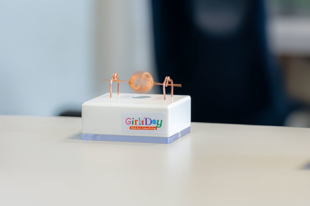 The participants were able to demonstrate their practical skills by building a electric magnetic motor.