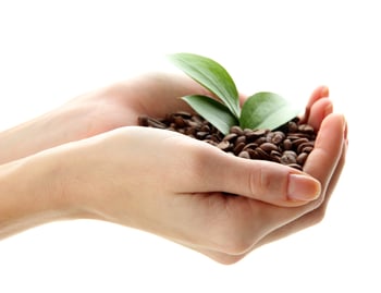 The key to success: sustainable film and optimized vacuum technology for coffee