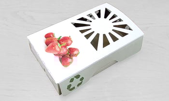 Pioneering produce packaging
