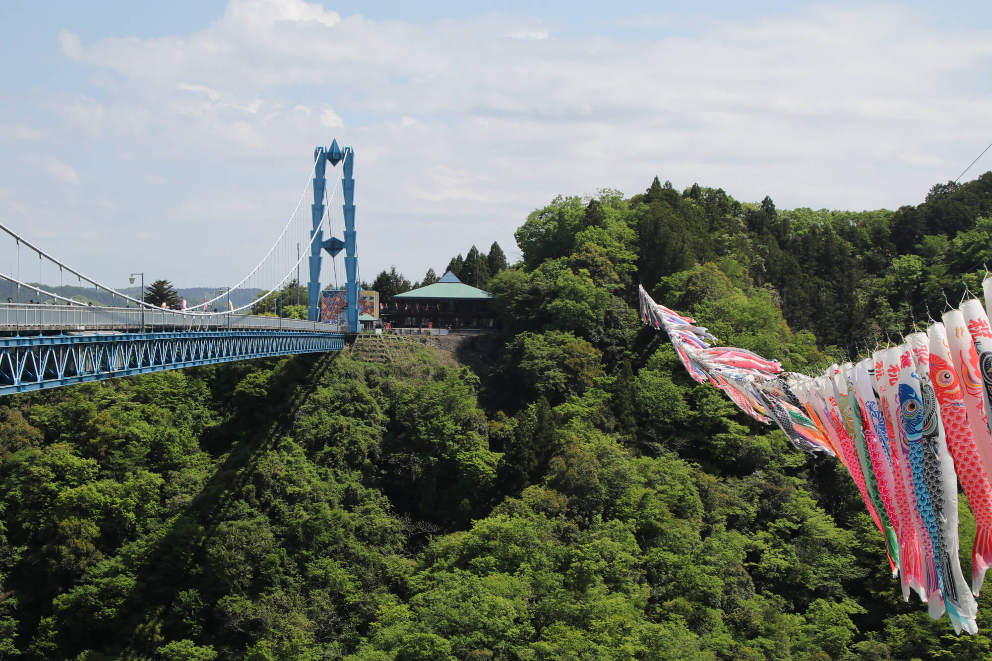 Jan-Sende-bridge-view