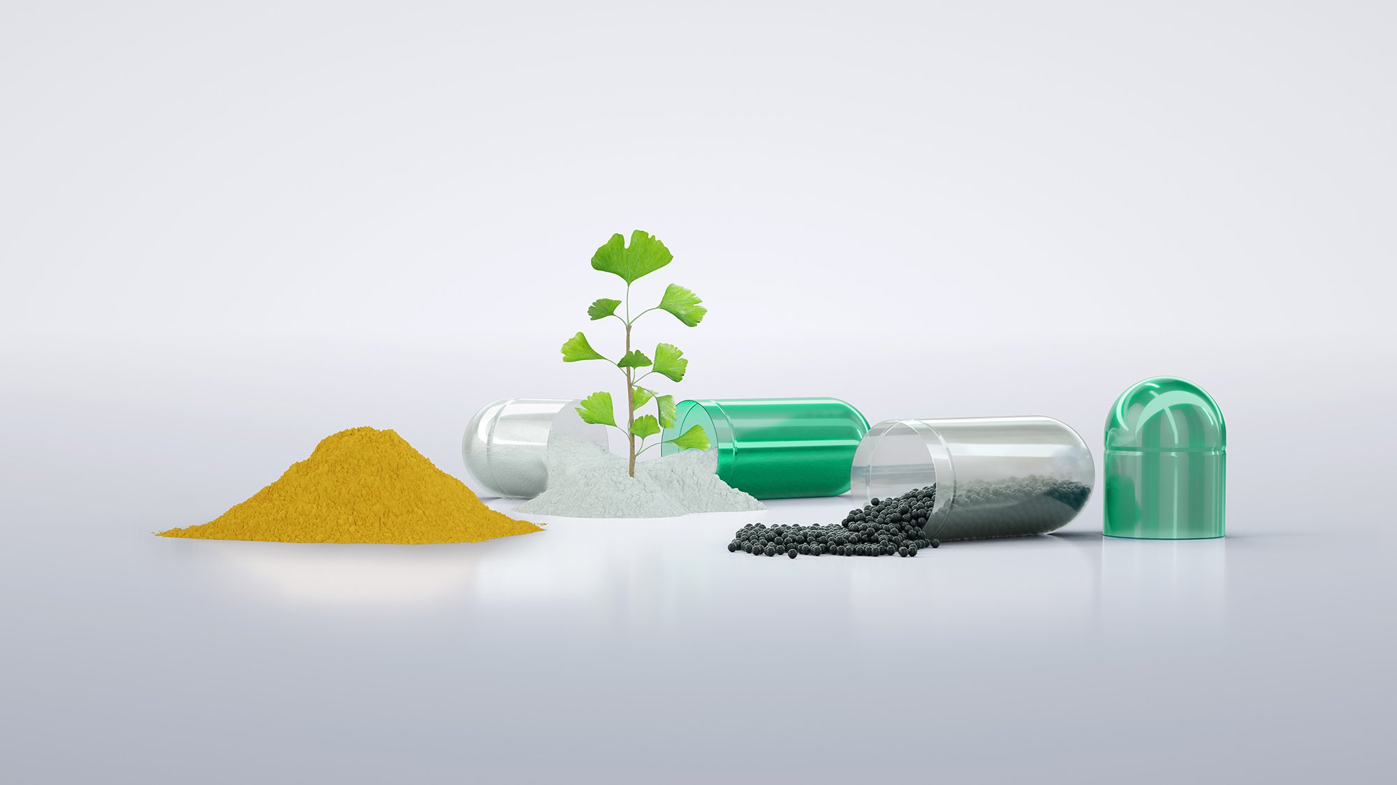 Ginkgo-Pulver, Pellets und Kapseln als Darstellung verschiedener Darreichungsformen für Nutraceuticals.