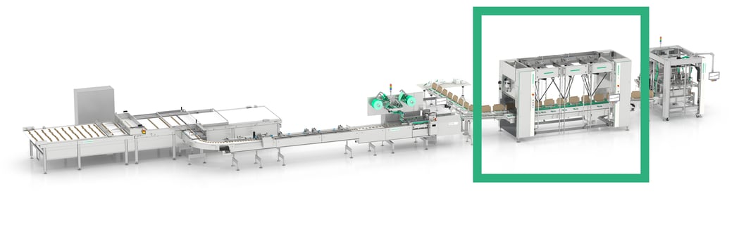 Syntegon RPP Robotic Cell in System