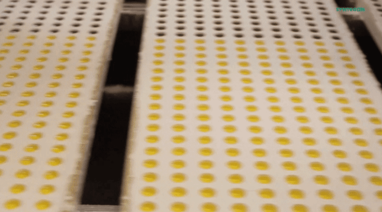 treating-liquid-jellies