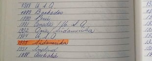 Syntegon_Blog_FieldService_Diary-2048x830