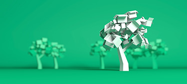 Focus topic sustainability