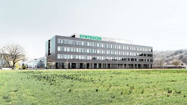 Optimale Bedingungen für erneuerbare Energie