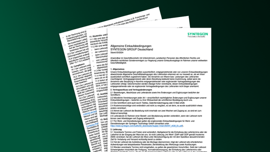 Allgemeine Einkaufsbedingungen Syntegon Group Deutschland