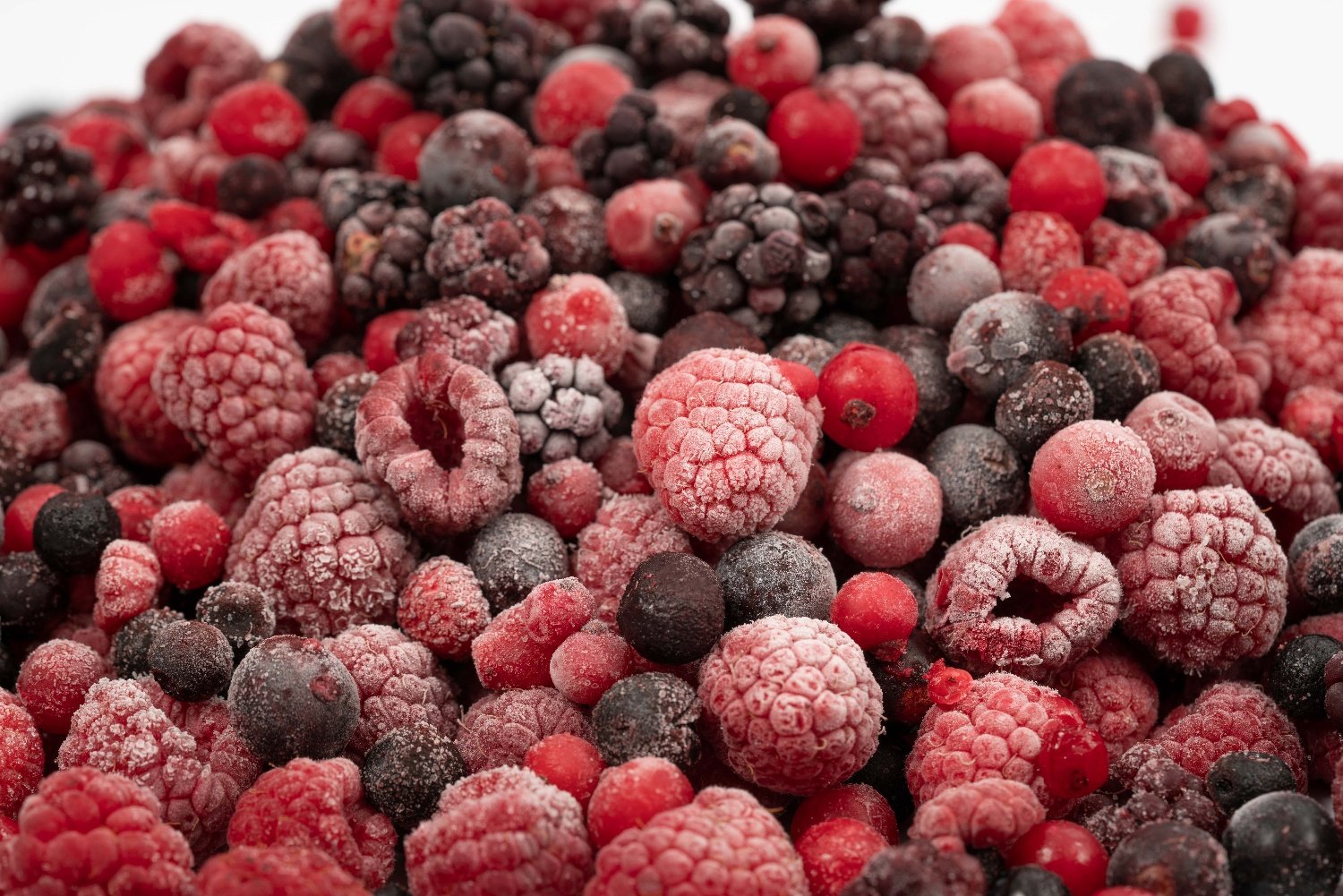 Frozen Food