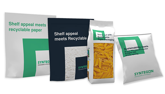 Sustainable Paper and Packaging Solutions