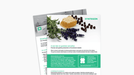 StarchlessTurnkeyProcess - NutraFlash Flyer